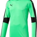 Maillot PUMA Trikot Triumphant GK Homme Vert Fluro Green-0