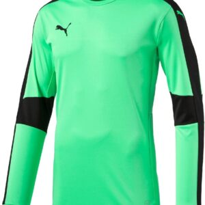 Maillot PUMA Trikot Triumphant GK Homme Vert Fluro Green-0
