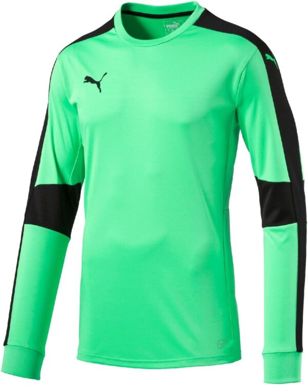Maillot PUMA Trikot Triumphant GK Homme Vert Fluro Green-0