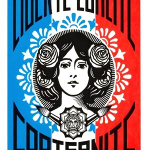 Poster sur toile Liberté Égalité Fraternité décoration