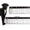 Harnais pour chien Electric Pup réversible réglable rose XS – premium-1