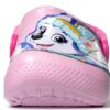 Crocs Mixte Enfant Sabot Paw Patrol Patch CG K Gris Ardoise 19/20 EU-1