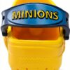 Crocs Mixte Enfant Sabot Paw Patrol Patch CG K Gris Ardoise 19/20 EU-12